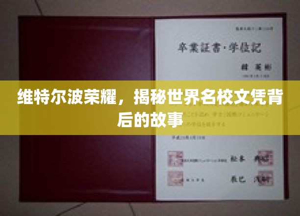 探寻维特尔波荣耀，名校文凭背后的传奇历程