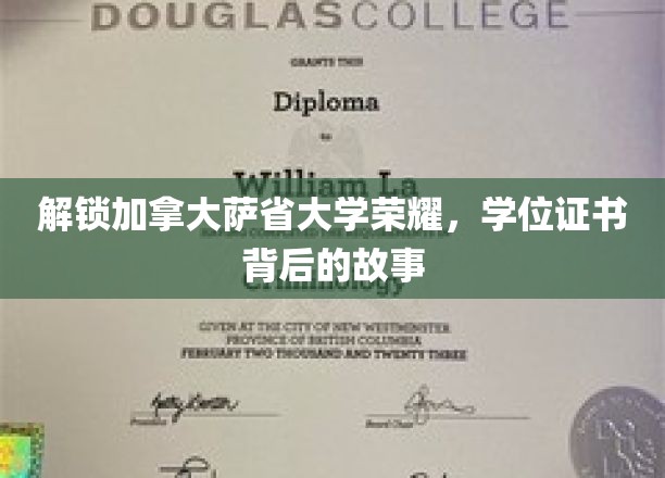 解码萨省大学荣耀，学位证书背后的传奇篇章