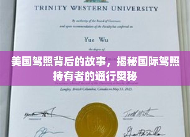 跨国驾驶风云录，解码美国驾照与全球驾照持有者的便捷之旅