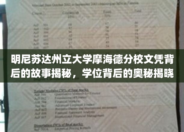 明尼苏达州立大学摩海德分校文凭背后的故事揭秘，学位背后的奥秘揭晓