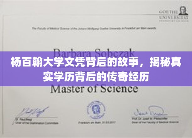 杨百翰大学学位之谜，探寻学历背后的非凡传奇