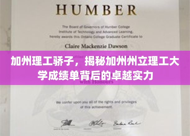 加州理工精英，解码州立理工辉煌成就的秘密武器