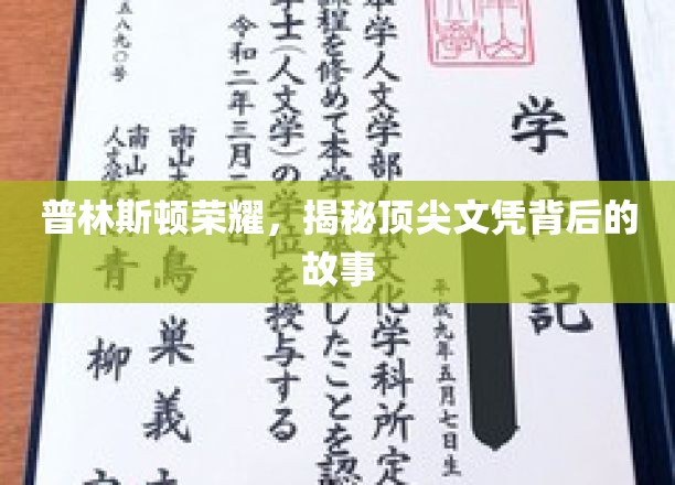 普林斯顿传奇，解码精英学位背后的不为人知篇章