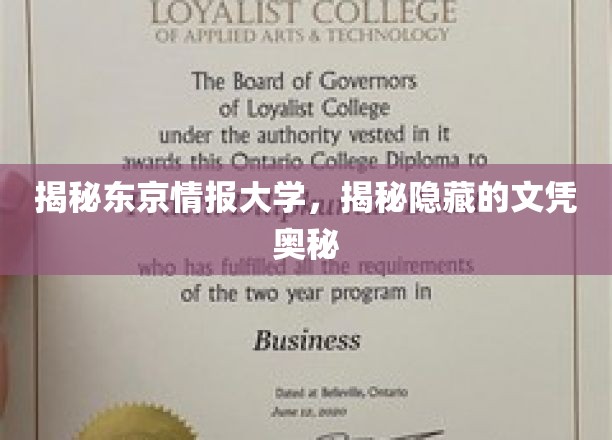 解码东京神秘情报学府，文凭背后的秘密世界