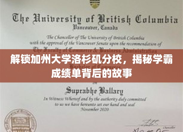 揭秘UCLA学霸之路，成绩单背后的奋斗传奇