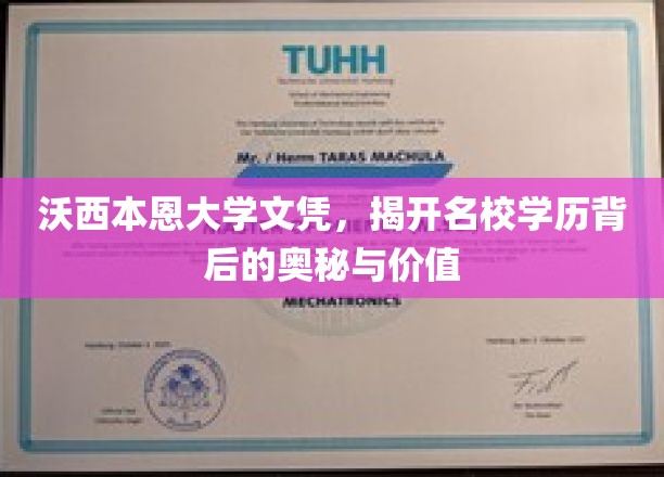 名校光环下的沃西本恩，揭秘学历背后的非凡价值与深层奥秘