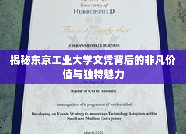 东京工业大学文凭，揭开高含金量与独领风骚的秘密面纱