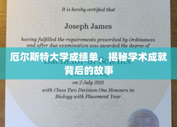 厄尔斯特大学成绩单背后的辉煌历程，揭秘学子成就背后的秘密