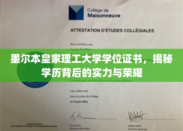 墨尔本皇家理工大学学位证书，探寻荣耀背后的实力密码