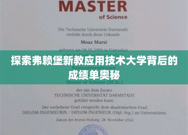 解码弗赖堡新教应用技术大学的卓越成就之谜