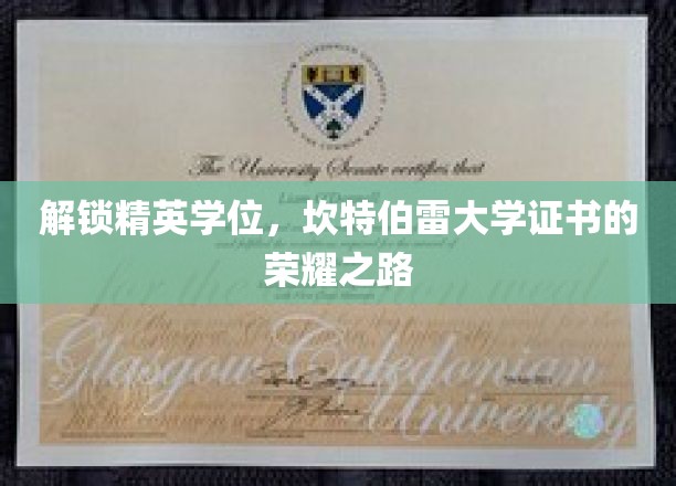 迈向精英殿堂，坎特伯雷大学证书的荣耀启程