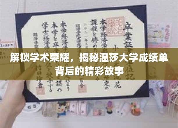 温莎大学成绩单背后的传奇揭秘，探索学术巅峰的奥秘