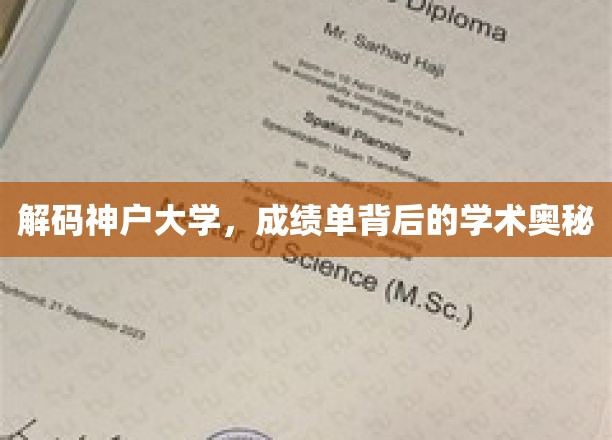 解码神户大学，成绩单背后的学术奥秘