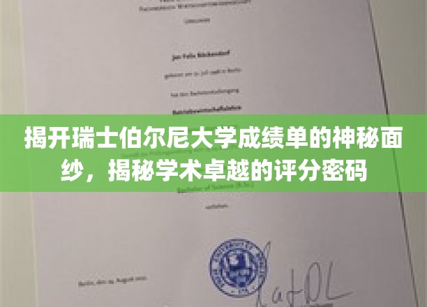 探索瑞士伯尔尼大学成绩单背后的奥秘，解码卓越学术的秘密