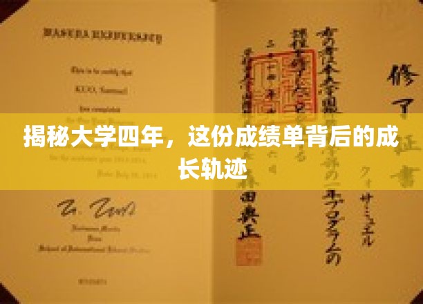 揭秘大学四年，这份成绩单背后的成长轨迹