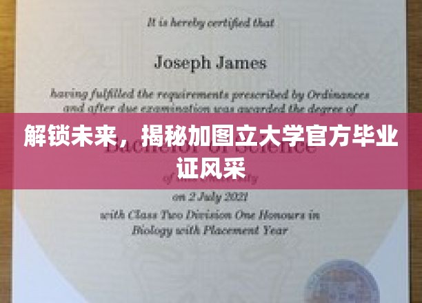 探寻未来之门，加图立大学毕业证独显风采