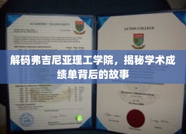 揭开弗吉尼亚理工学院成绩单的神秘面纱