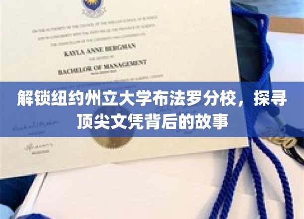 揭秘纽约州立大学布法罗分校，探寻成就辉煌文凭的奥秘之路