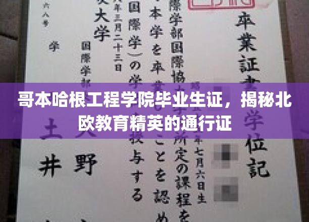 哥本哈根工程学院毕业生证，揭秘北欧教育精英的通行证