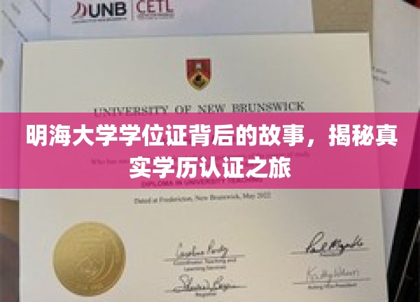 探寻明海大学学位证之谜，一场揭秘学历认证的奇幻之旅