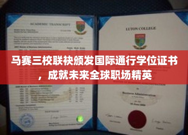 马赛三校强强联手，共铸国际职场精英未来通行证