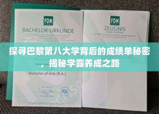 巴黎第八大学学霸养成记，揭秘学术卓越的幕后秘诀