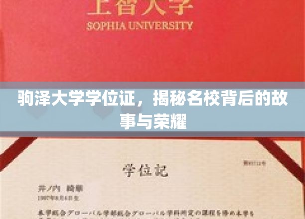 驹泽大学学位证，揭秘名校背后的故事与荣耀