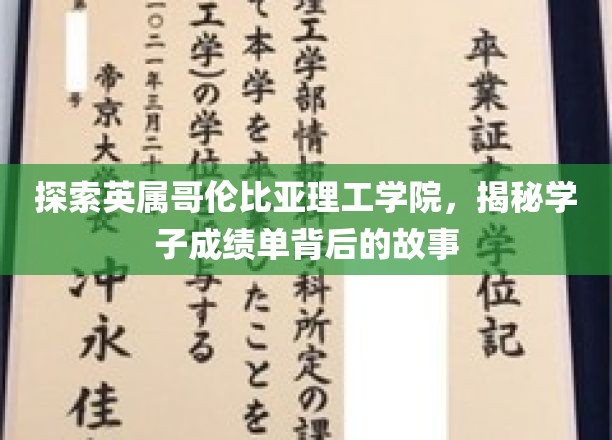英属哥伦比亚理工学院，揭开学子成绩单背后的成长传奇