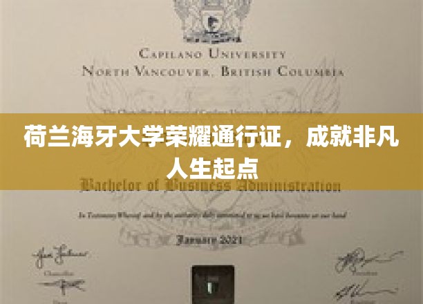 解锁荷兰海牙大学荣耀之门，开启非凡人生新篇章