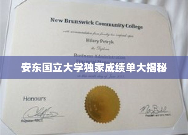 安东国立大学成绩单背后的秘密揭晓！