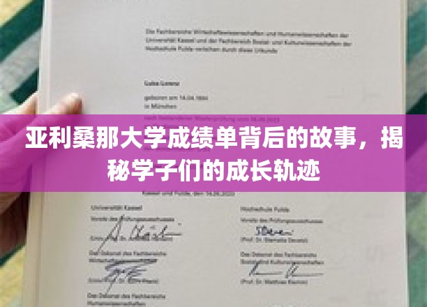 解码亚利桑那大学成绩单，学子成长轨迹的幕后传奇
