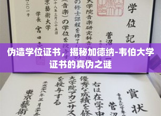揭开假文凭疑云，加德纳-韦伯大学学位证书的真相探寻