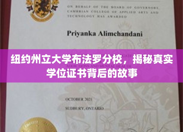 纽约州立大学布法罗分校，揭秘真实学位证书背后的故事