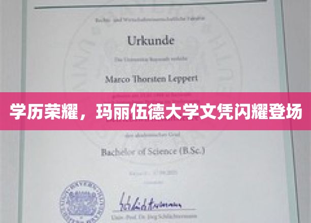 玛丽伍德荣耀，学位证书璀璨亮相，成就非凡时刻
