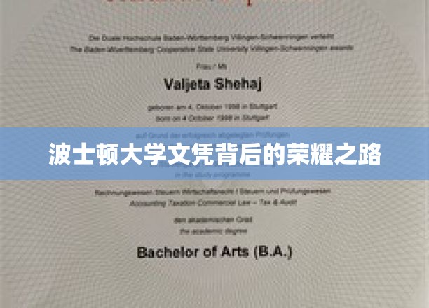 追寻波士顿大学荣耀，揭秘学子们的不凡历程