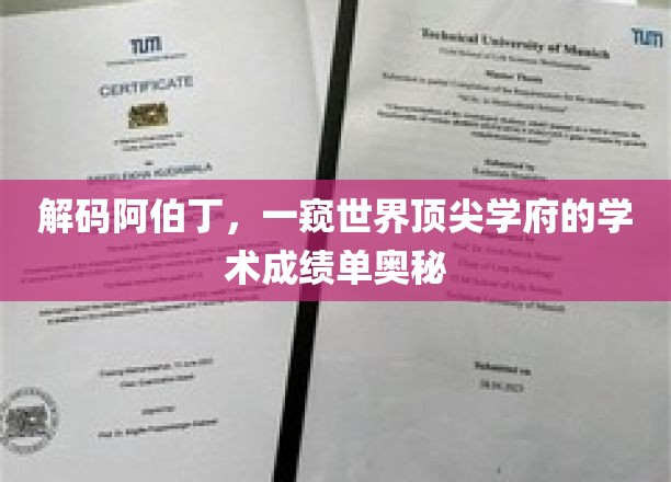 解码阿伯丁，一窥世界顶尖学府的学术成绩单奥秘
