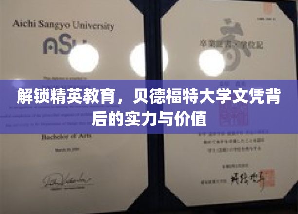 解锁精英教育，贝德福特大学文凭背后的实力与价值