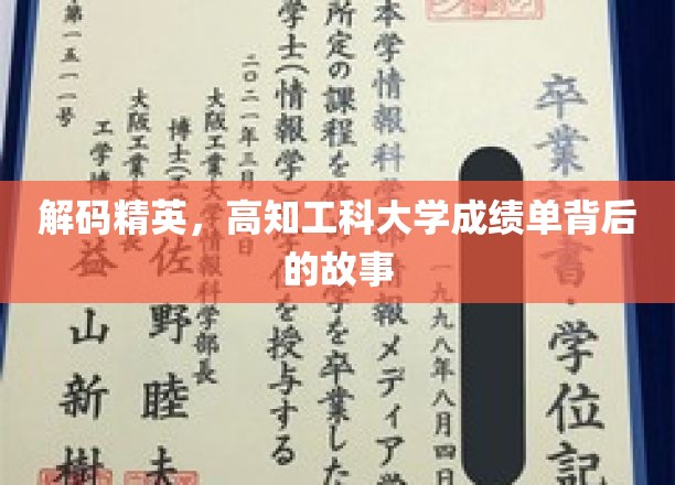解码精英，高知工科大学成绩单背后的故事