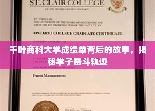 千叶商科大学成绩单中的青春足迹，探寻学子奋斗之路