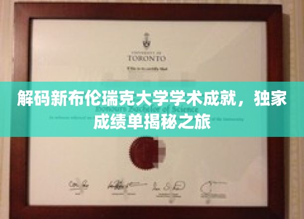 解码新布伦瑞克大学学术成就，独家成绩单揭秘之旅