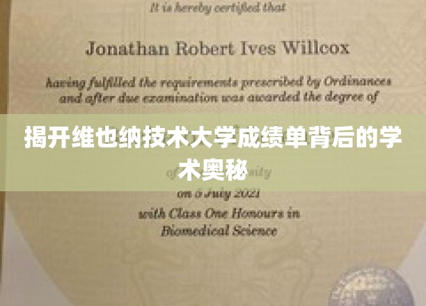 探寻维也纳技术大学成绩单的秘密之门