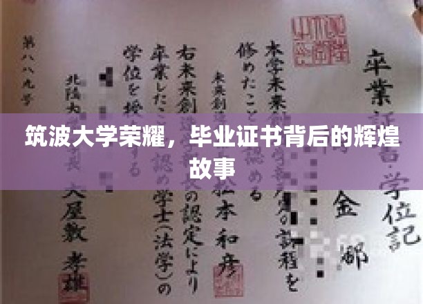 筑波荣耀之路，揭秘毕业证书背后的传奇历程