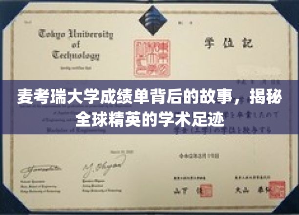 探寻麦考瑞大学成绩单背后的精英轨迹