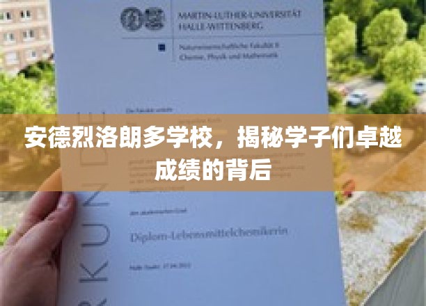 安德烈·拉兰多学校，揭秘学子们卓越成绩的背后