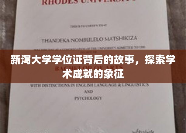 新泻大学学位证背后的故事，探索学术成就的象征