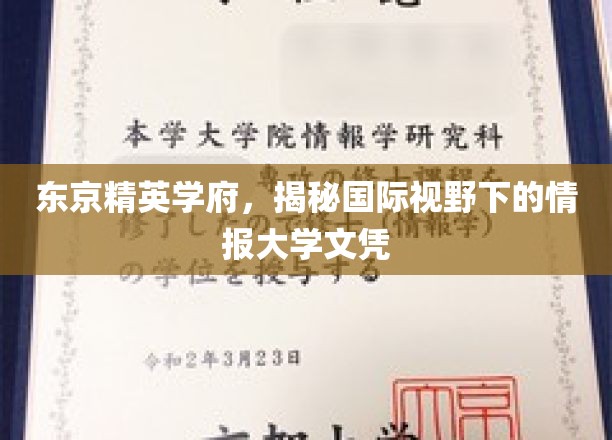 东京精英学府，揭秘国际视野下的情报大学文凭