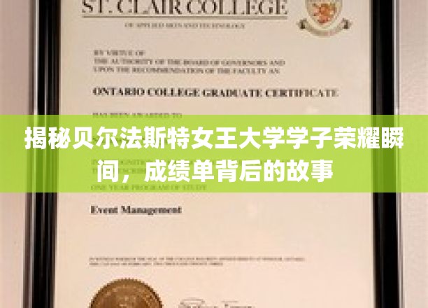 揭秘贝尔法斯特女王大学学子荣耀瞬间，探寻成绩单背后的精彩故事