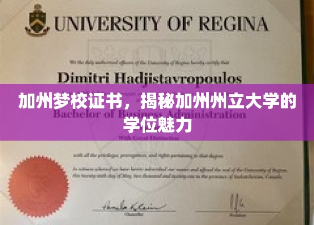 解码加州州立大学，探索梦想学位的无限魅力