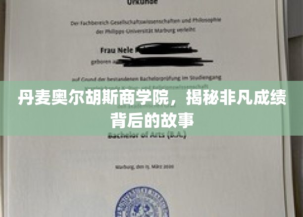 解锁丹麦奥尔胡斯商学院非凡成就的奥秘之旅