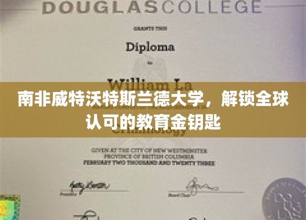 威特沃特斯兰德大学，全球教育之门的南非钥匙